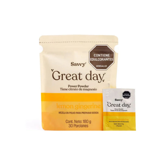 Great day limonada gingerine 180gr - Artemisa Productos Naturales