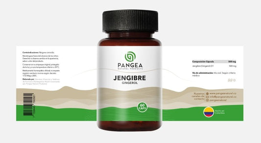 Jengibre x 60 cápsulas - Artemisa Productos Naturales