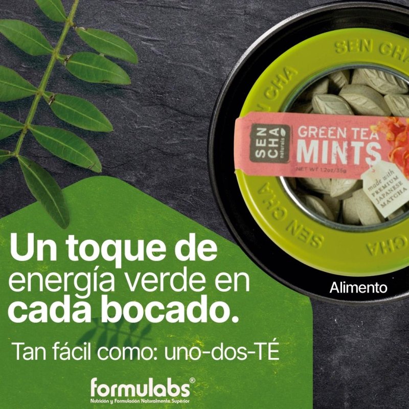 Mentas Sen Cha Té Verde Dragon Fruit X 35G - Artemisa Productos Naturales