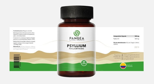 Psyllium X 60 Cápsulas - Artemisa Productos Naturales