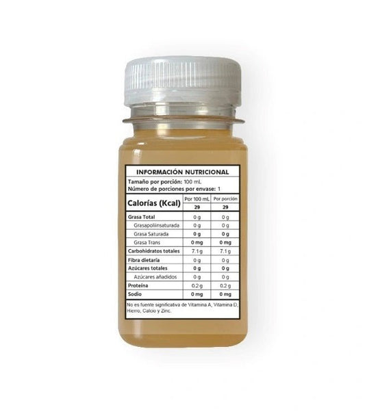 SHOT DE JENGIBRE 100 ml - Artemisa Productos Naturales