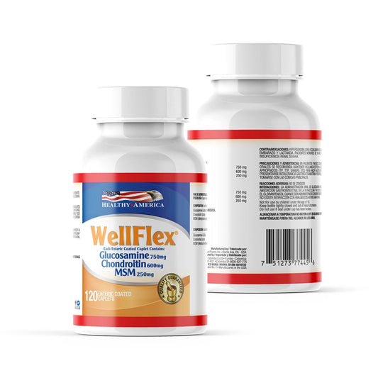 Well Flex x 120 cápsulas con Glucosamina, Condroitina y MSM - Artemisa Productos Naturales