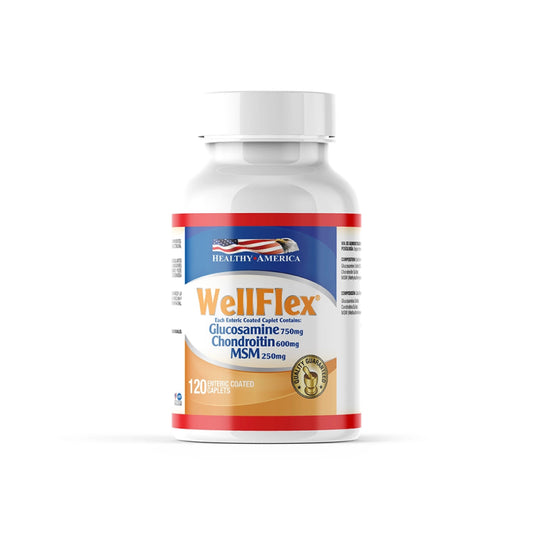Well Flex x 120 cápsulas con Glucosamina, Condroitina y MSM - Artemisa Productos Naturales