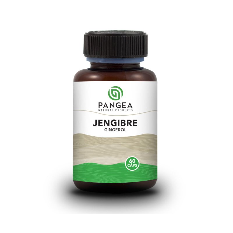 Jengibre x 60 cápsulas - Artemisa Productos Naturales