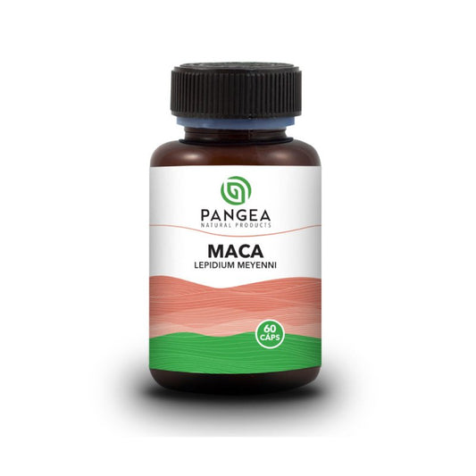 Maca x 60 cápsulas - Artemisa Productos Naturales