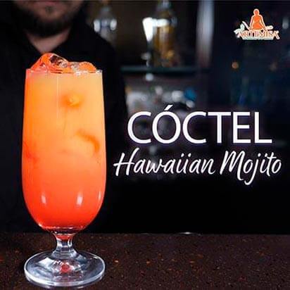 Coctel Hawaiian mojito - Artemisa Productos Naturales