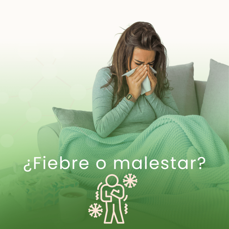 ¿Fiebre o malestar recurrente? - Artemisa Productos Naturales