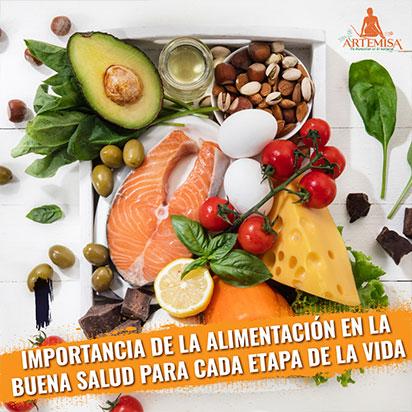 IMPORTANCIA DE LA ALIMENTACIÓN EN LA BUENA SALUD PARA CADA ETAPA DE LA VIDA - Artemisa Productos Naturales