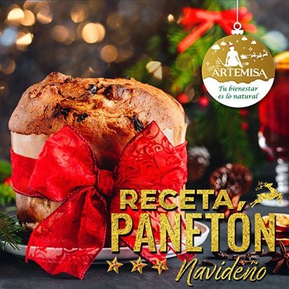 Panetón de Chocolate - Artemisa Productos Naturales