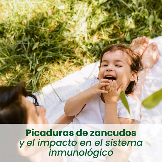 Picaduras de Zancudos y su Impacto en el Sistema Inmunológico - Artemisa Productos Naturales