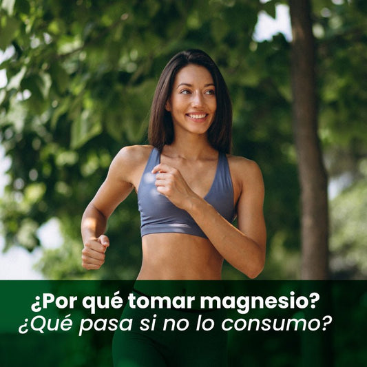 ¿Qué es el magnesio y por qué es importante? - Artemisa Productos Naturales