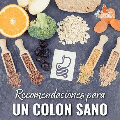 RECOMENDACIONES ALIMENTARIAS PARA UN COLON SANO - Artemisa Productos Naturales