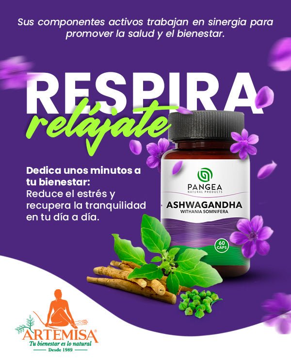Ashwagandha x 60 cápsulas - Artemisa Productos Naturales