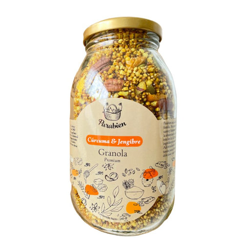 granola cúrcuma & jengibre 220g
