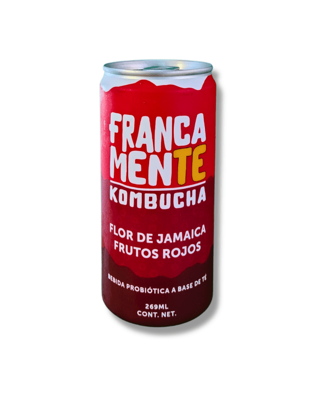KOMBUCHA FRUTOS ROJOS Y FLOR 269ML LATA - Artemisa Productos Naturales