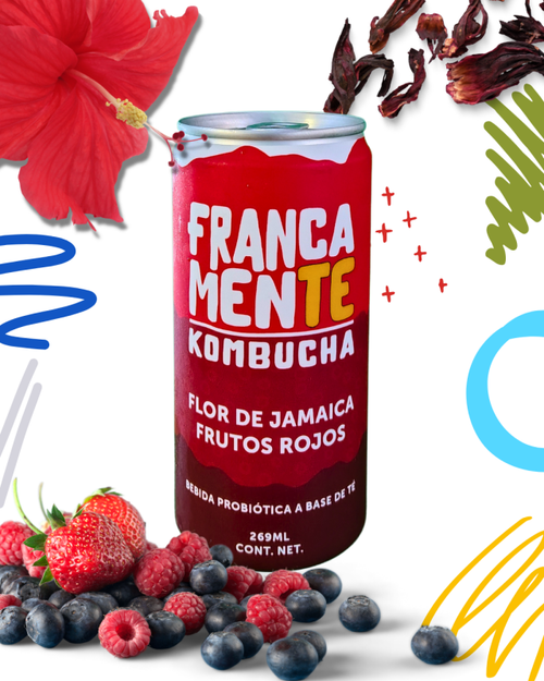 KOMBUCHA FRUTOS ROJOS Y FLOR 269ML LATA