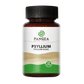 Psyllium X 60 Cápsulas - Artemisa Productos Naturales