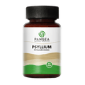 Psyllium X 60 Cápsulas