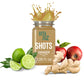 SHOT DE JENGIBRE 100 ml - Artemisa Productos Naturales