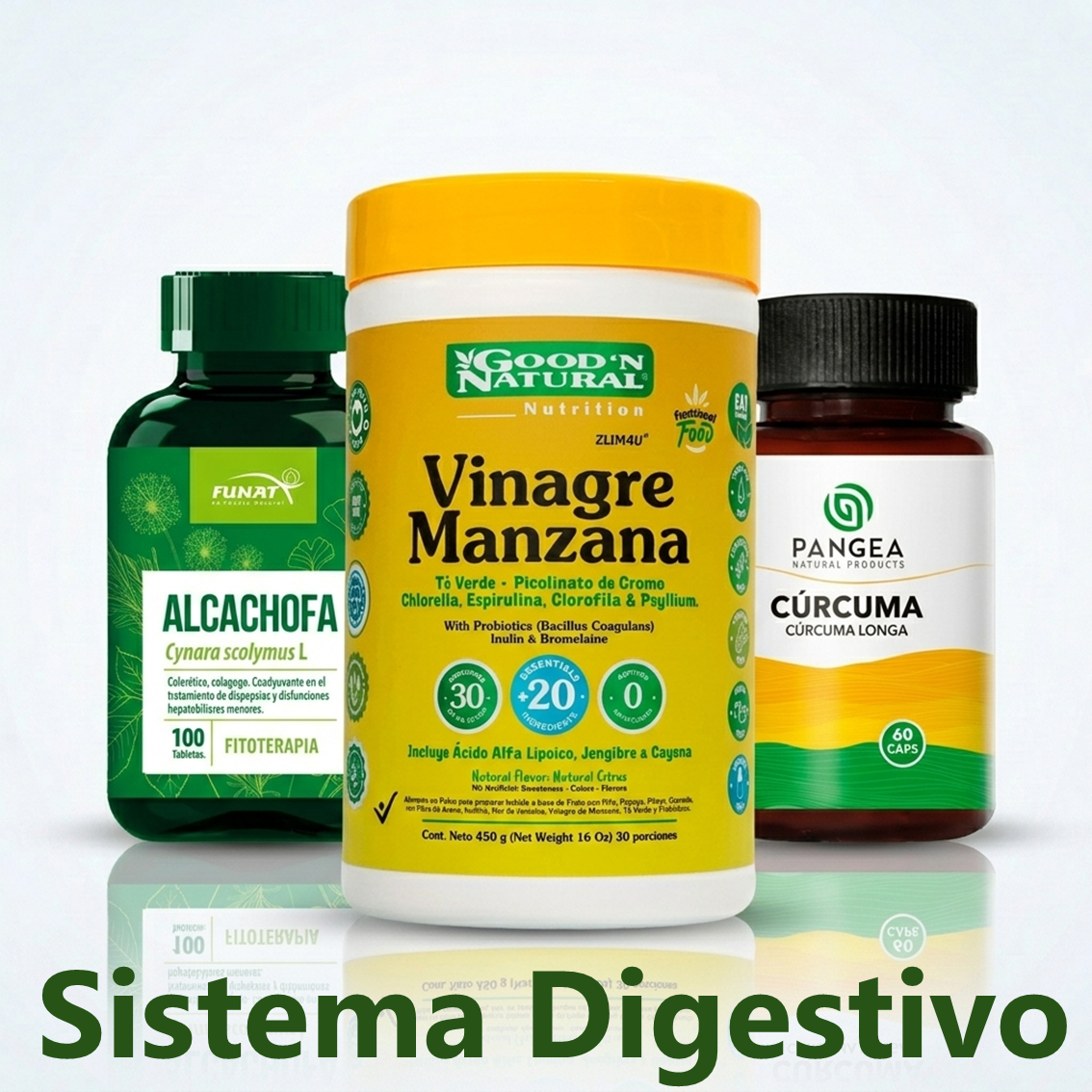 Sistema Digestivo