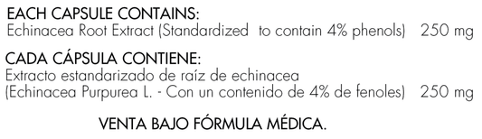 Echinacea 250 mg x 100 cápsulas - Artemisa Productos Naturales