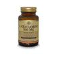 L Glutamine 500 mg x 50 cápsulas - Artemisa Productos Naturales