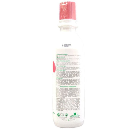 Shampoo protección color x 440 ml - Artemisa Productos Naturales