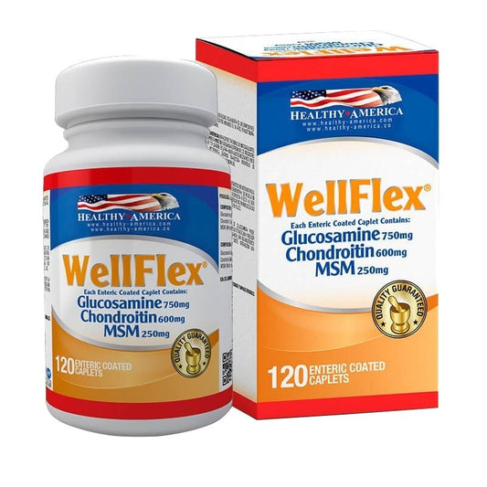 Well Flex x 120 cápsulas con Glucosamina, Condroitina y MSM - Artemisa Productos Naturales